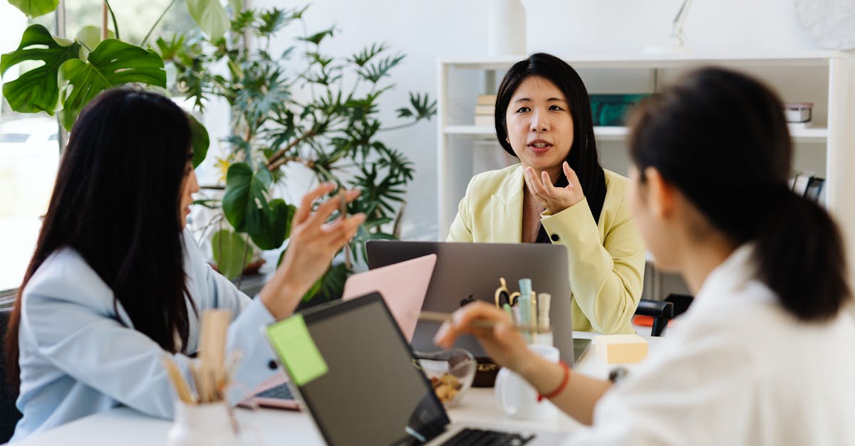 DDOS网页端源码|sta app在哪详情下载教程